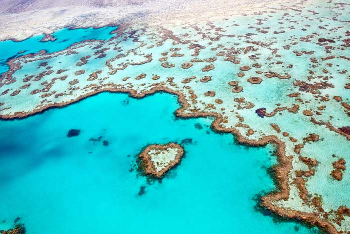 Reef and Rainforest - Leaving from Melbourne