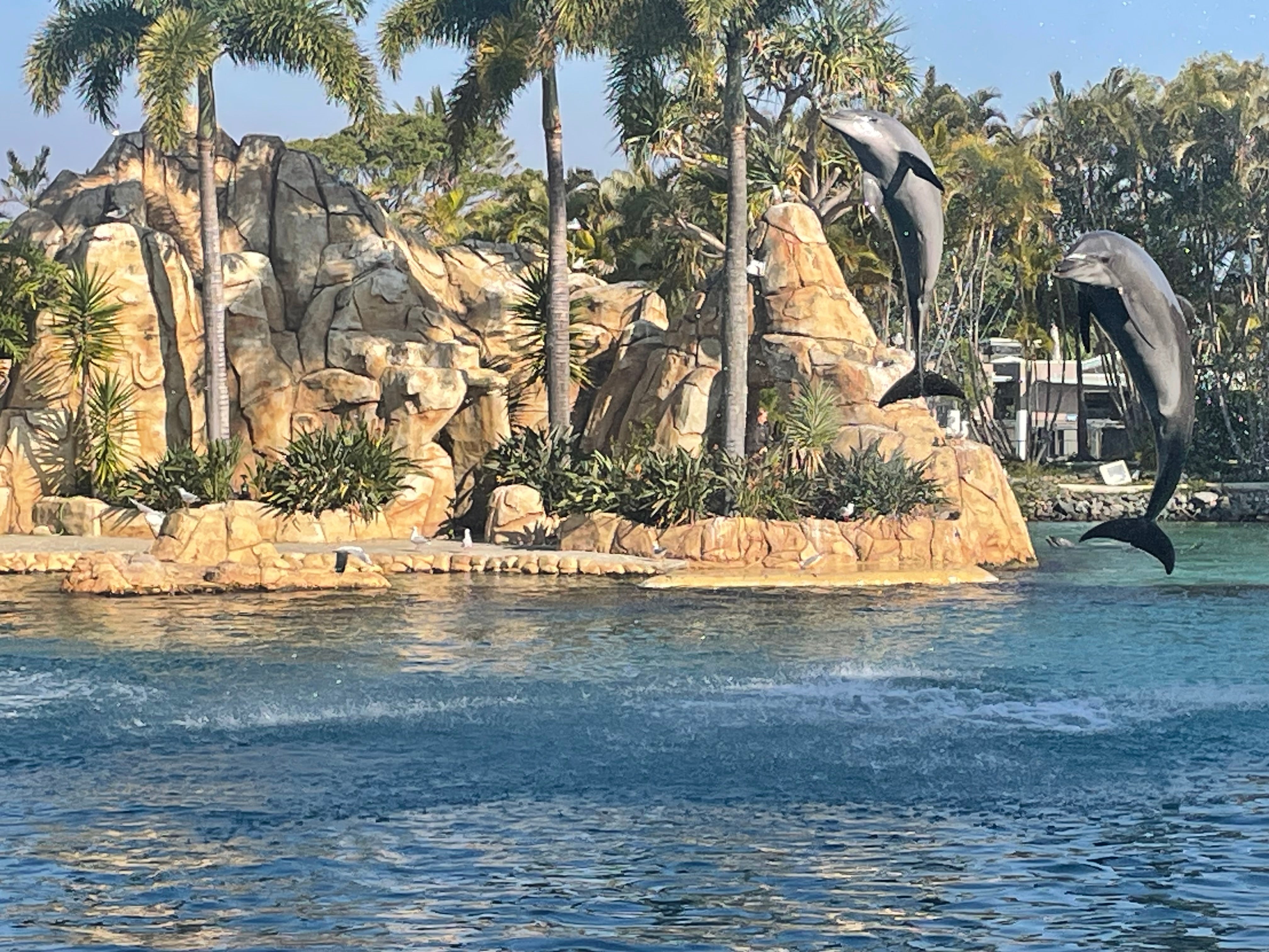 Gold Coast Theme Parks - Leaving from Melbourne