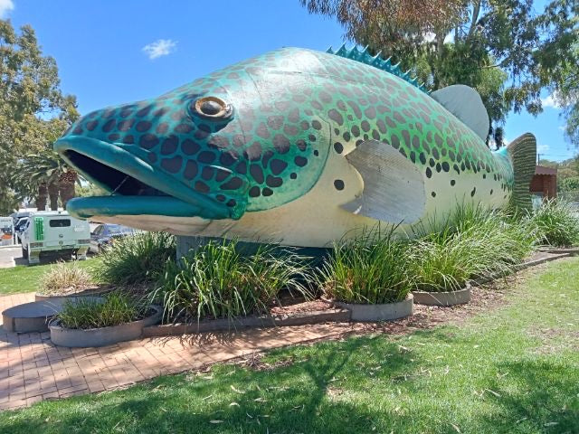 Swan Hill by Train