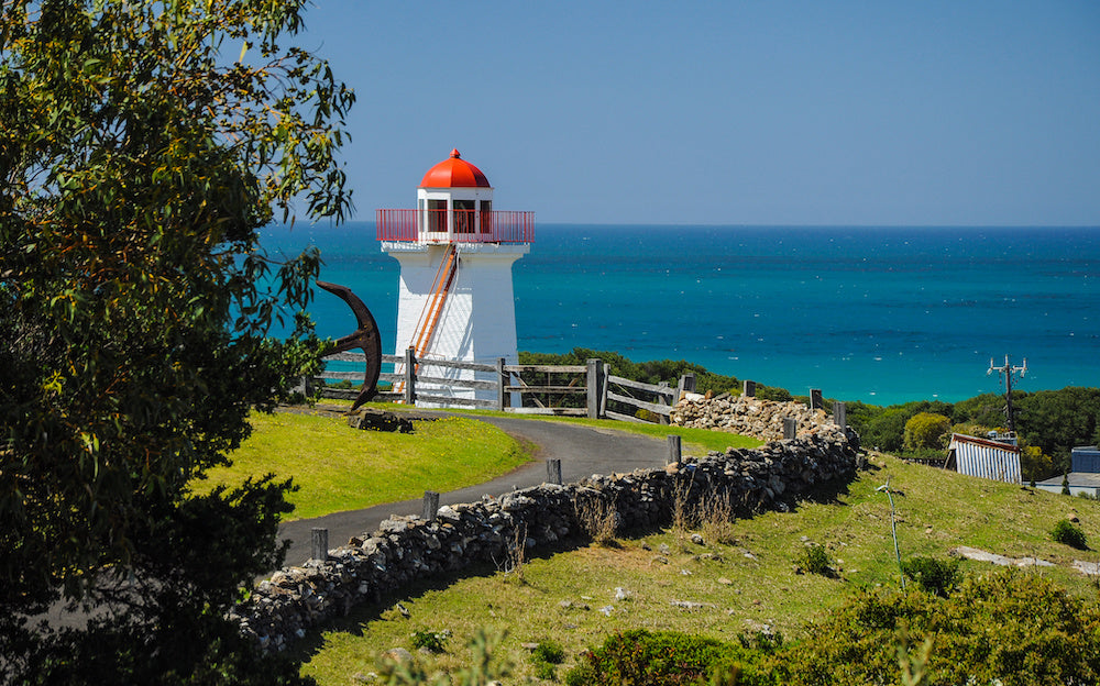 Whale Watching in Warrnambool